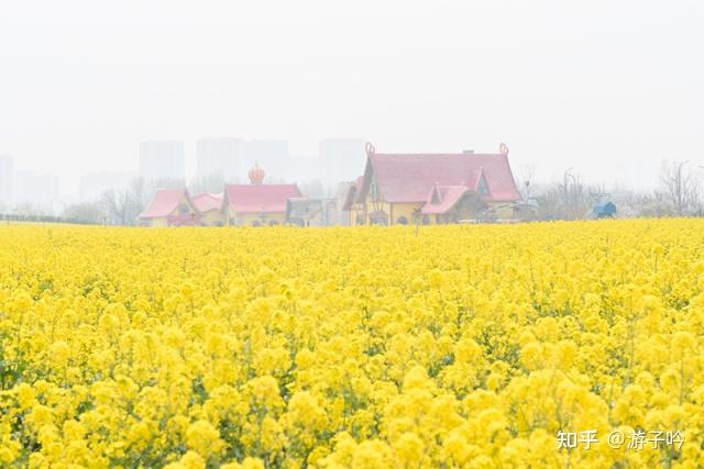 青岛攻略旅游自由游_自由青岛旅游攻略_青岛攻略旅游自由行