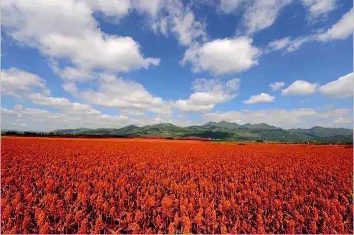 旅游好时节用什么诗句表达_时节 旅游_旅游好时节