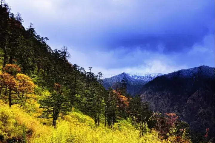 旅游好时节_时节 旅游_旅游好时节用什么诗句表达