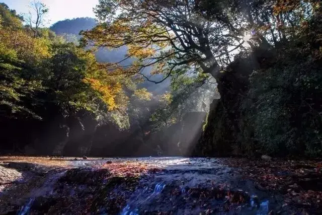 旅游好时节_时节 旅游_旅游好时节用什么诗句表达