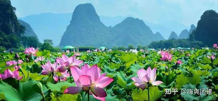 镇江旅游集团_镇江公司旅游团建_镇江团建的地方