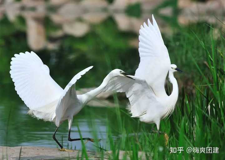 镇江公司旅游团建_镇江旅游集团_镇江团建的地方