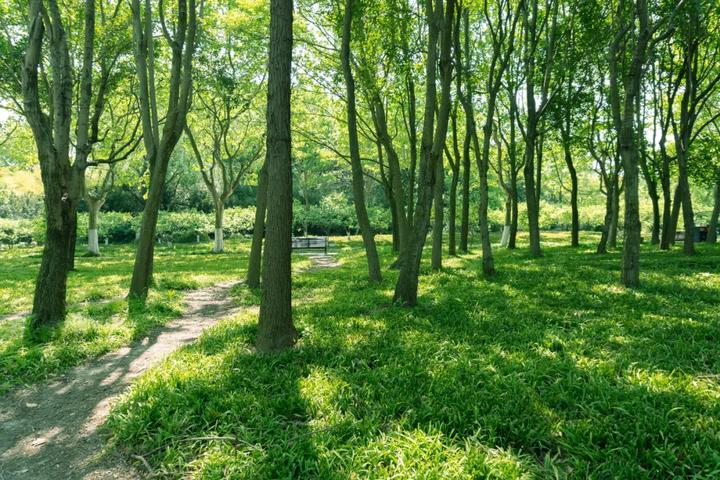 养生休闲旅游_养生旅行_养生旅游线路