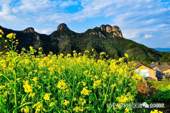 泰国旅游团_一群中年女性公司团建去泰国旅游_泰国为何要推出女性主题旅游月