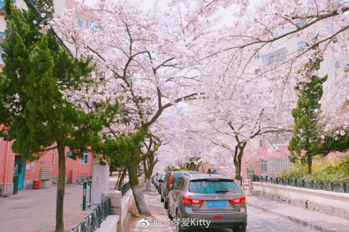 时节 旅游_旅游好时节用什么诗句表达_旅游好时节