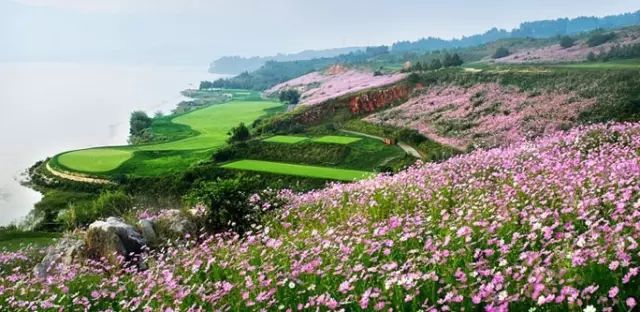 河南自驾旅游线路_自驾游河南旅游攻略及费用_自驾线路河南旅游攻略