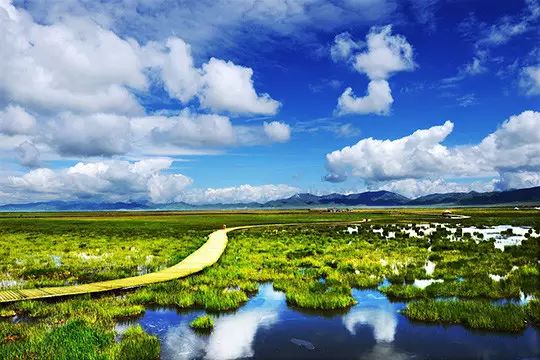 自驾游河南旅游攻略及费用_河南自驾旅游线路_自驾线路河南旅游攻略