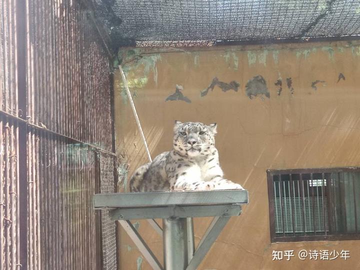 兰州情侣旅游攻略三天_兰州三日旅游攻略_兰州三天适合去哪里旅游