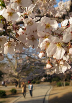 八月旅游好去处_八月旅游旺季_八月旅游好时节