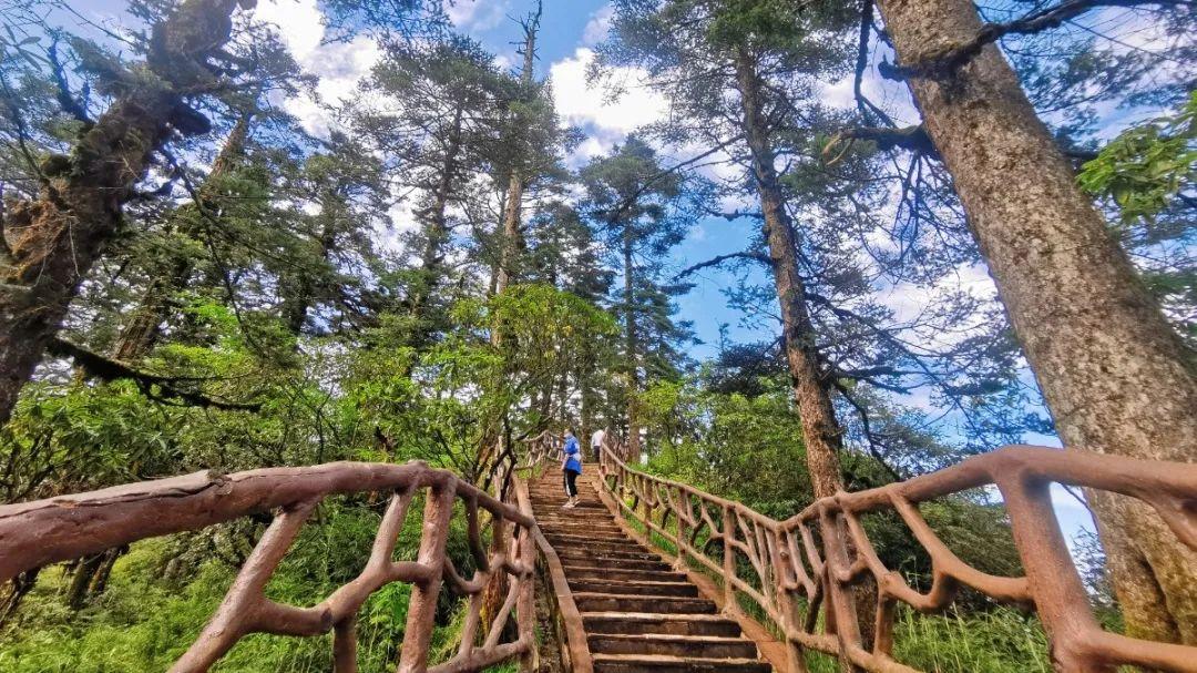 旅游有山的地方_旅游有名的山_有山有水旅游景点