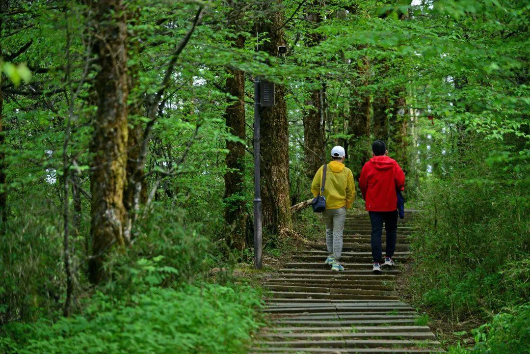 旅游有山的地方_旅游有名的山_有山有水旅游景点