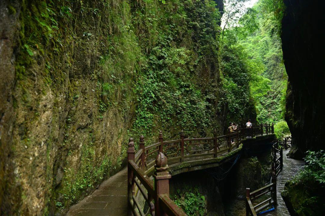 旅游有名的山_有山有水旅游景点_旅游有山的地方