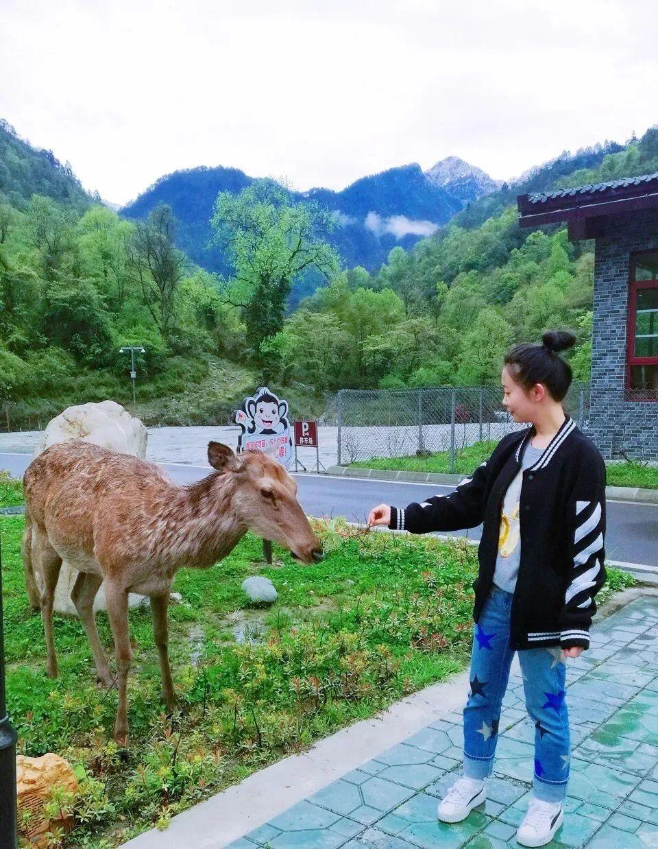 旅游有山的地方_旅游有名的山_有山有水旅游景点