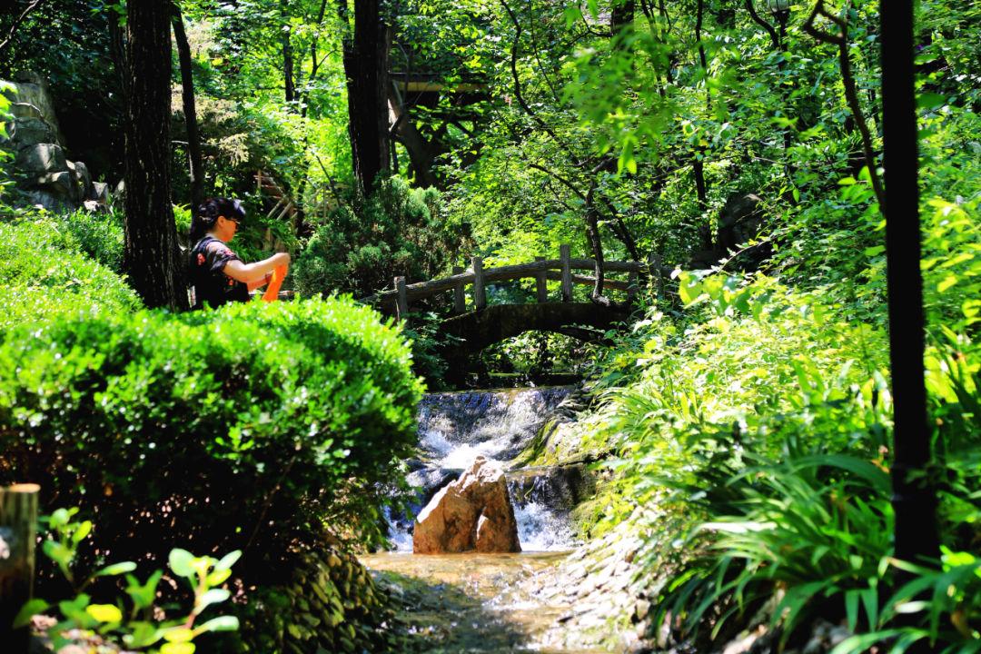 旅游景点的山_旅游有名的山_有山有水旅游景点