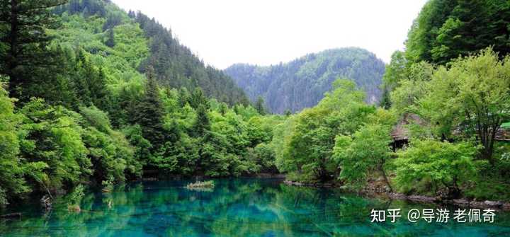 个人旅游九寨沟_九寨沟旅游个人资料简介_九寨沟旅游分享