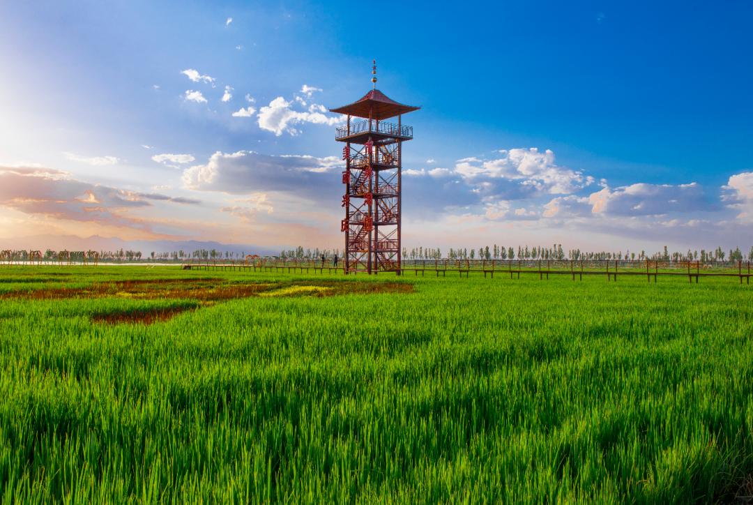 抖音怎么切换视频清晰度_苹果耳机线如何接_承天寺旅游特色