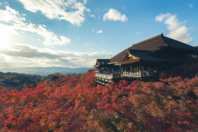 日本自由行旅游签证要求_签证旅游自由行日本要求多久_自由行日本签证需要什么材料