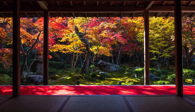 日本自由行旅游签证要求_自由行日本签证需要什么材料_签证旅游自由行日本要求多久