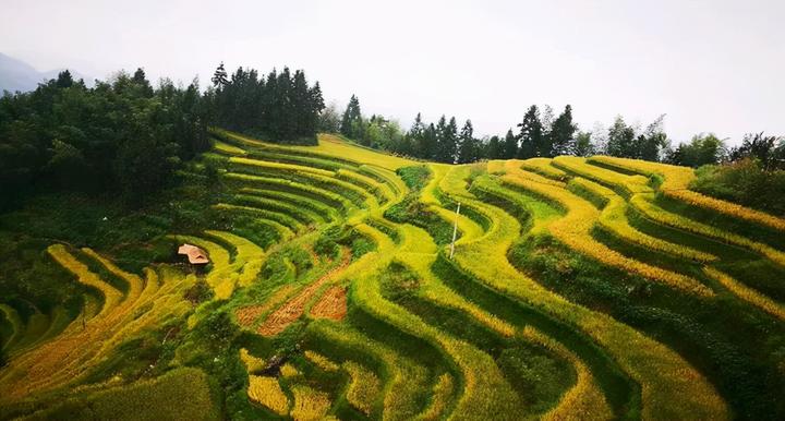 全球十大最失望景点_世界三大失望景点_令人失望的景点