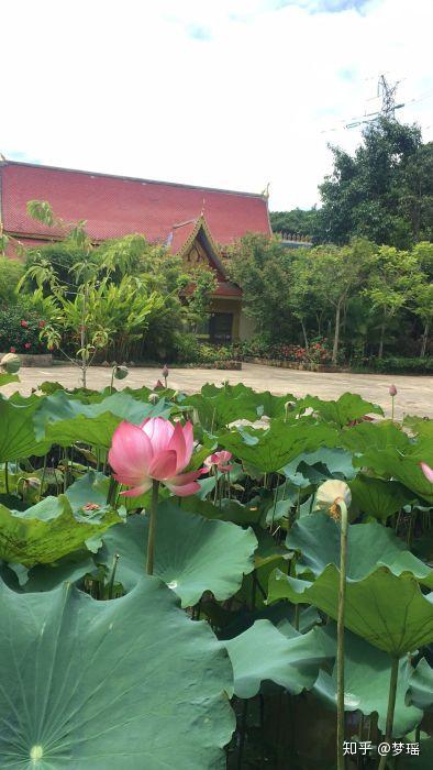 云南普洱旅游景点_云南普洱旅游攻略景点必去_普洱旅游十大景点