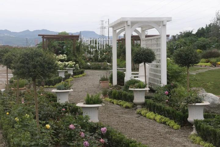 花海新闻报道_乡村旅游花海新闻_花海乡村生态园