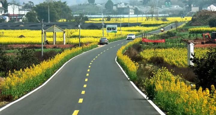 乡村旅游花海新闻_花海乡村生态园_花海新闻报道