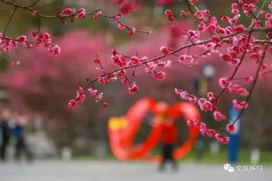 三峡回暖旅游路线_三峡回游_三峡旅游回暖了吗