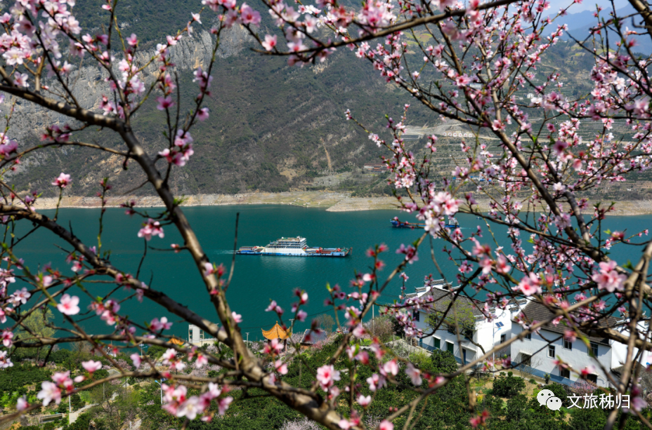 三峡回暖旅游路线_三峡回游_三峡旅游回暖了吗