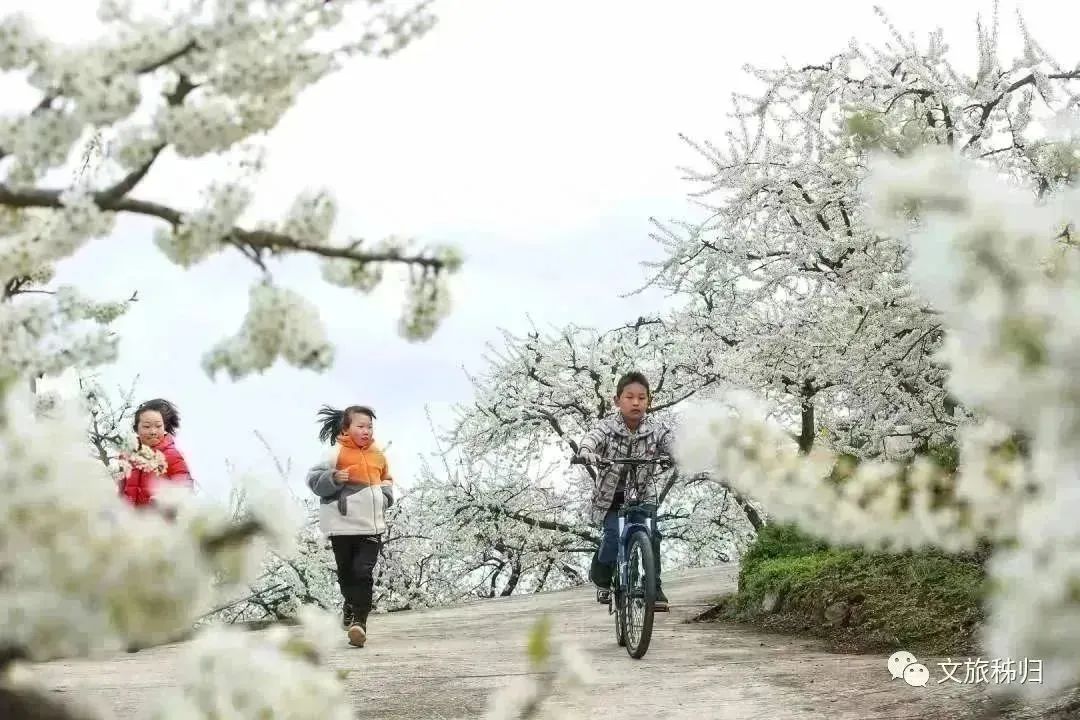 三峡回暖旅游路线_三峡旅游回暖了吗_三峡回游