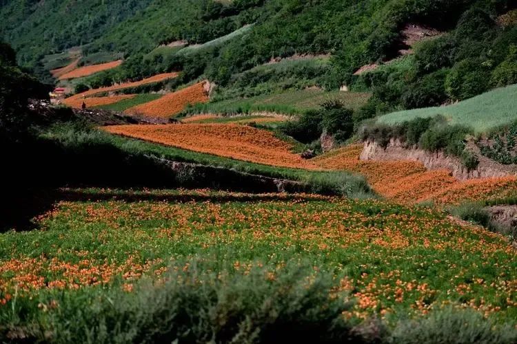 连南精品旅游线路_连南旅游景点大全排名_连南旅游景点风景区