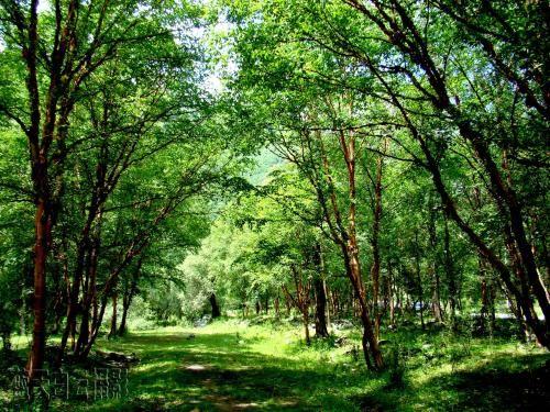 青州旅游景点介绍_青州旅游简介_景点青州旅游介绍文案