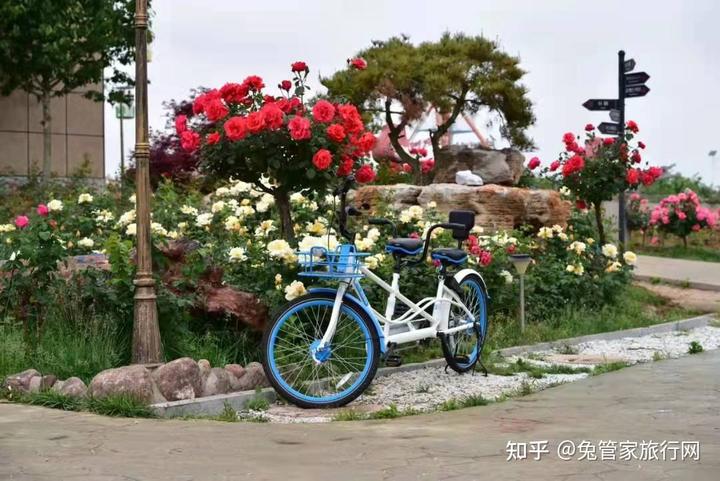 青州旅游景点介绍_青州旅游指南_景点青州旅游介绍图片