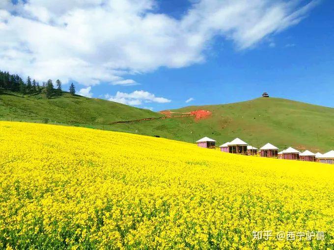 柬埔寨穿什么_柬埔寨穿衣服的风格_柬埔寨旅游穿搭推荐