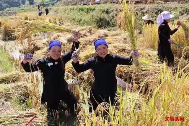 红河州旅游宣传片_红河州游记_红河州旅游线路
