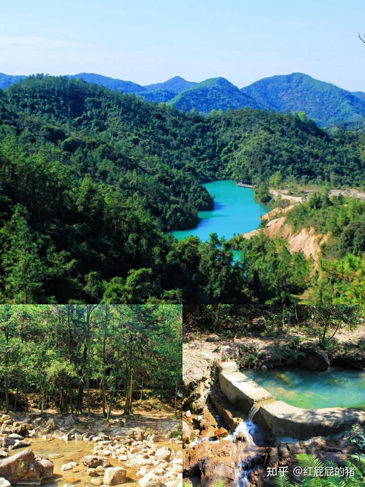 中山酒店旅游自由大厅在哪里_中山旅游大酒店自由_中山酒店住宿