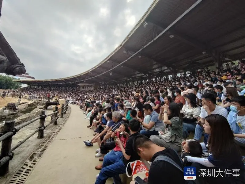 旅游景点游客须知内容_景区游客类型_日客则旅游景点