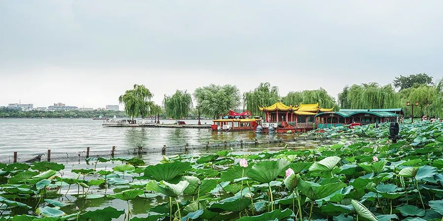 济南市区导游_济南旅游自由行导游推荐_济南旅游当地导游