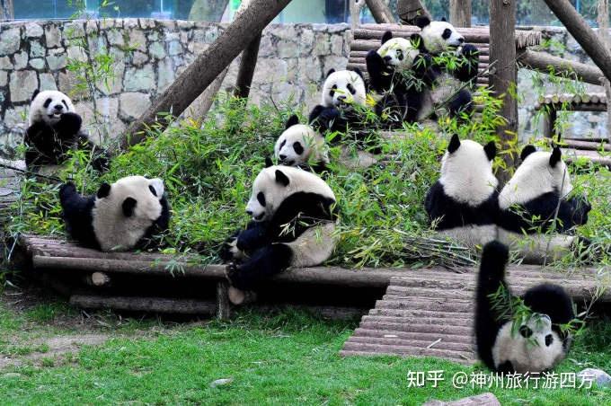 太太家照片_一个人带太太旅游景点图片_去太太家玩