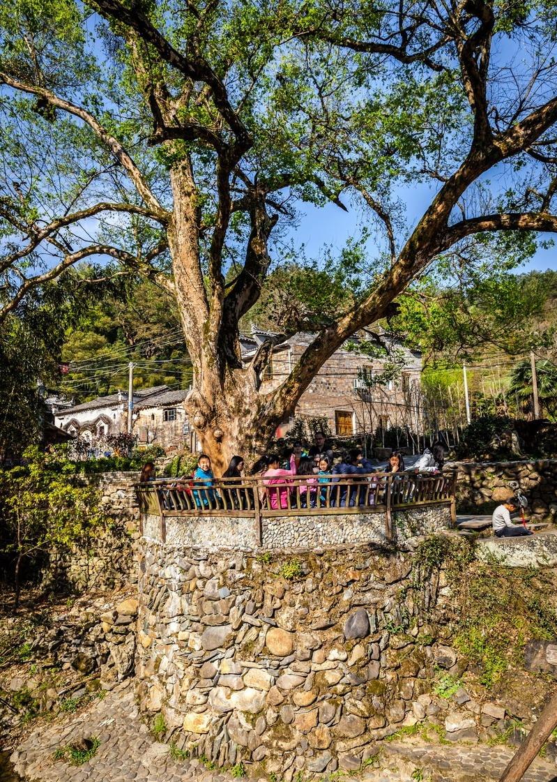 江西的特色乡镇旅游_江西省特色旅游小镇_首批江西十大休闲旅游乡镇