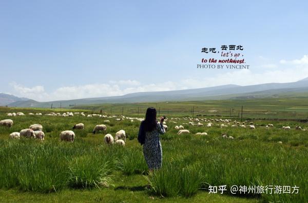 青海自由行旅游团_青海吉成旅游自由行_青海旅行