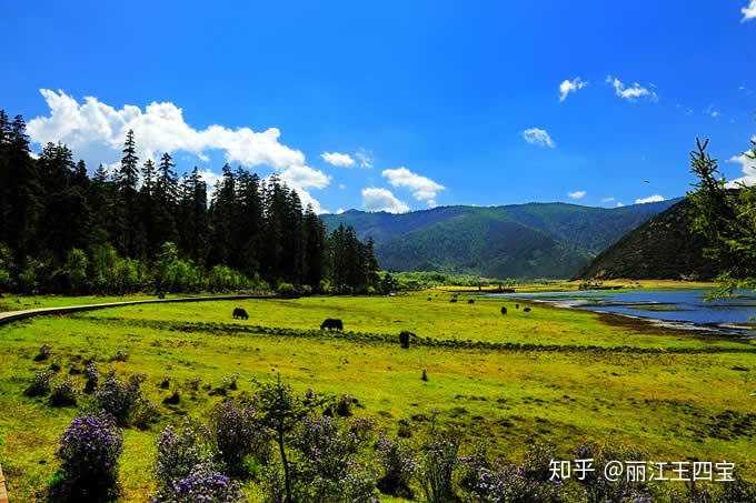 云南春节自由旅游_春节云南旅游_云南春节旅游线路推荐