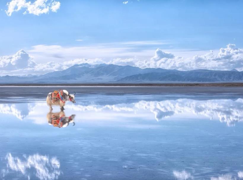 青海旅游自由行攻略4天_青海自由行旅游团_青海吉成旅游自由行