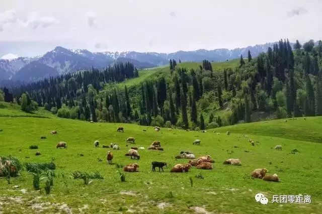 巴音布鲁克草原最佳旅游季节_巴音布鲁克什么季节去好_巴音布鲁克草原最佳时间