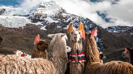 情侣玩的探险游戏_情侣旅行考验_情侣探险旅游