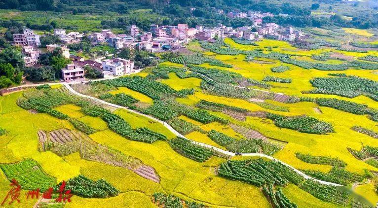 国庆冷门旅游地区_国庆旅游冷门又好的地方_国庆冷门旅游地区排名