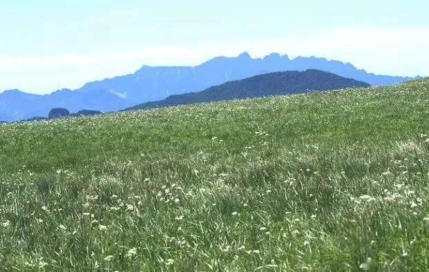 保定白石特色旅游山庄有哪些_保定白石特色旅游山区_保定白石山旅游特色