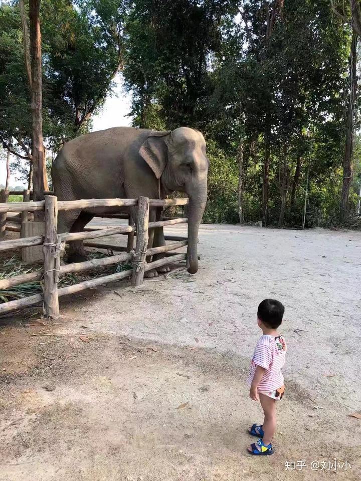 一个人带娃旅游_带小孩子旅游_娃旅游带个人去好吗