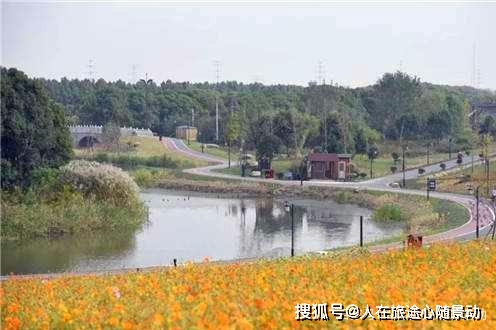 秋天杭州景色_杭州秋天旅游景点大全_杭州秋天必去的景点