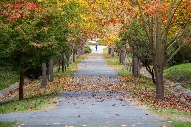 东风说哪个季节适合旅游_东风季节_东风有什么旅游景点