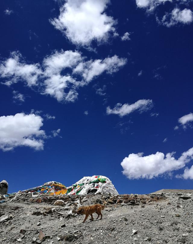 西藏旅游要避开这些陷阱